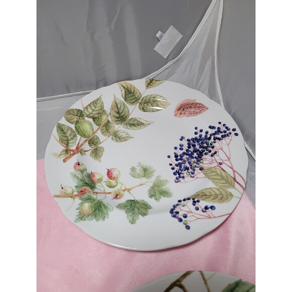 Set Of 4 Spode Williams Sonoma Woodland Harvest 9" Dessert Salad Luncheon Plates - Picture 3 of 10